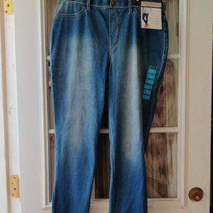 Bandolino Bella Leggings